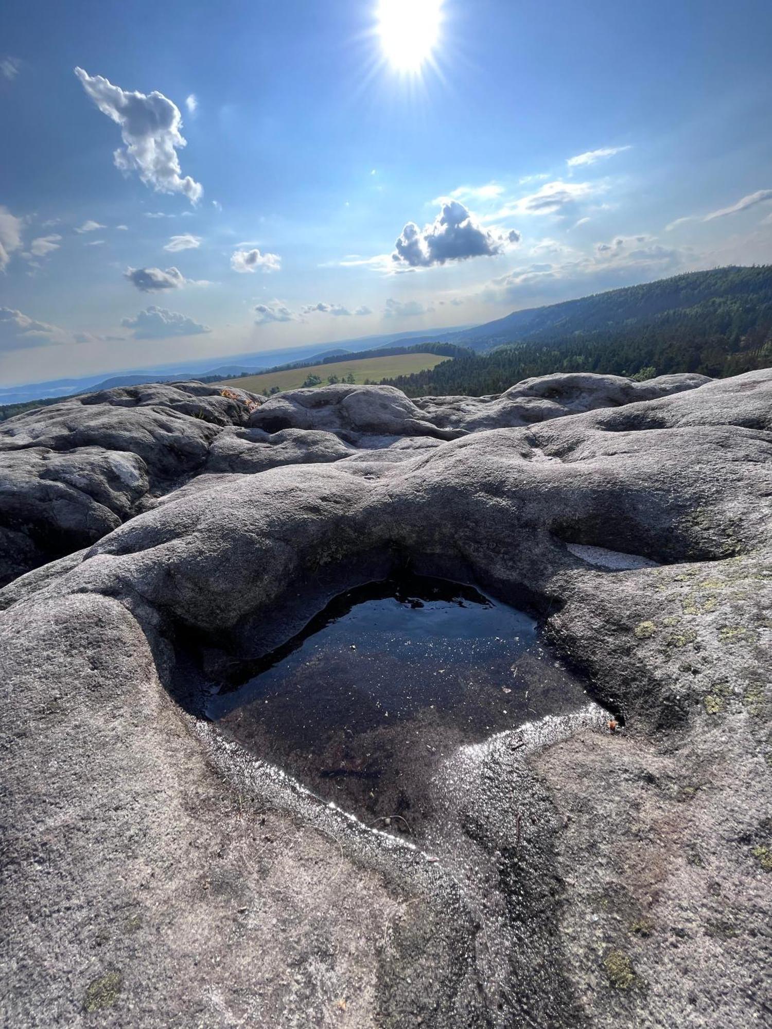 Carpe Diem Lägenhet Duszniki Zdrój Exteriör bild