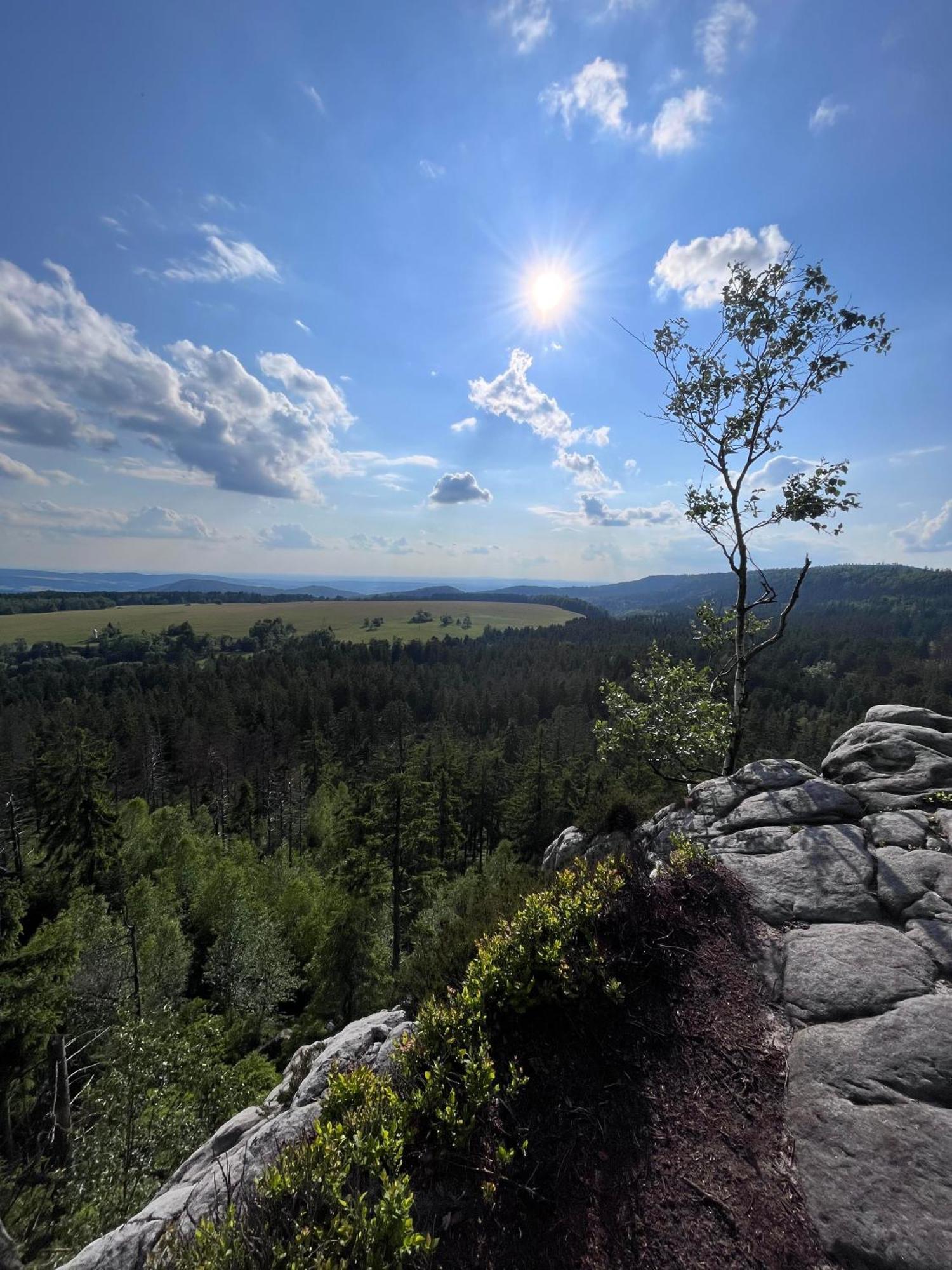 Carpe Diem Lägenhet Duszniki Zdrój Exteriör bild