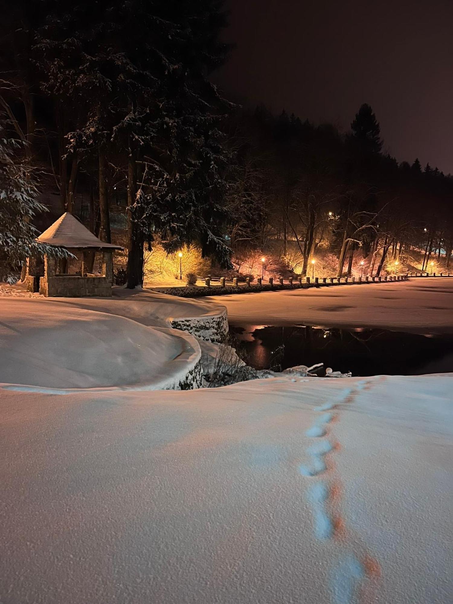 Carpe Diem Lägenhet Duszniki Zdrój Exteriör bild